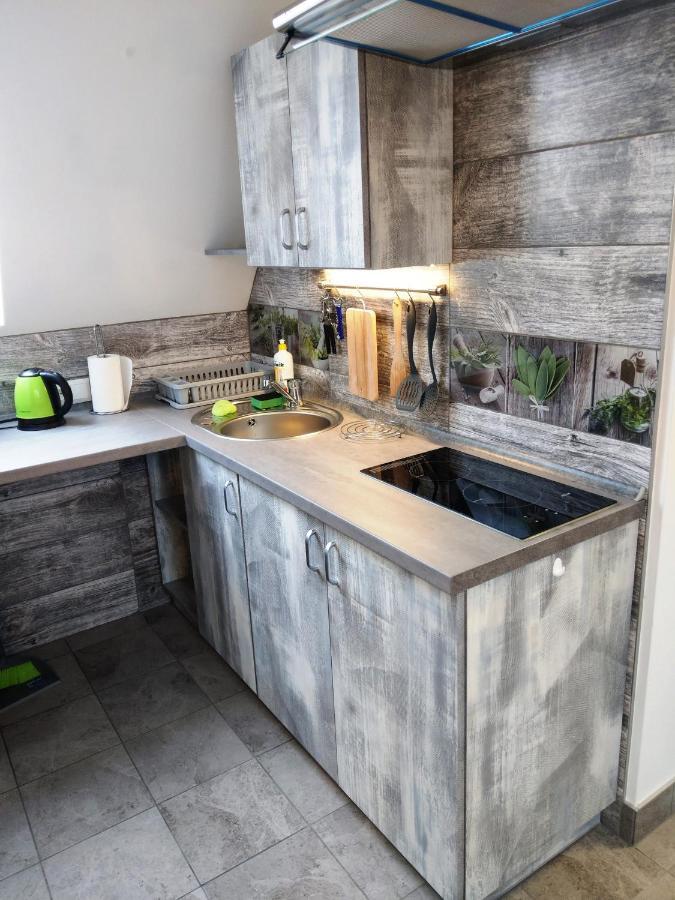 Apartamenty Majerczyk 扎科帕内 外观 照片